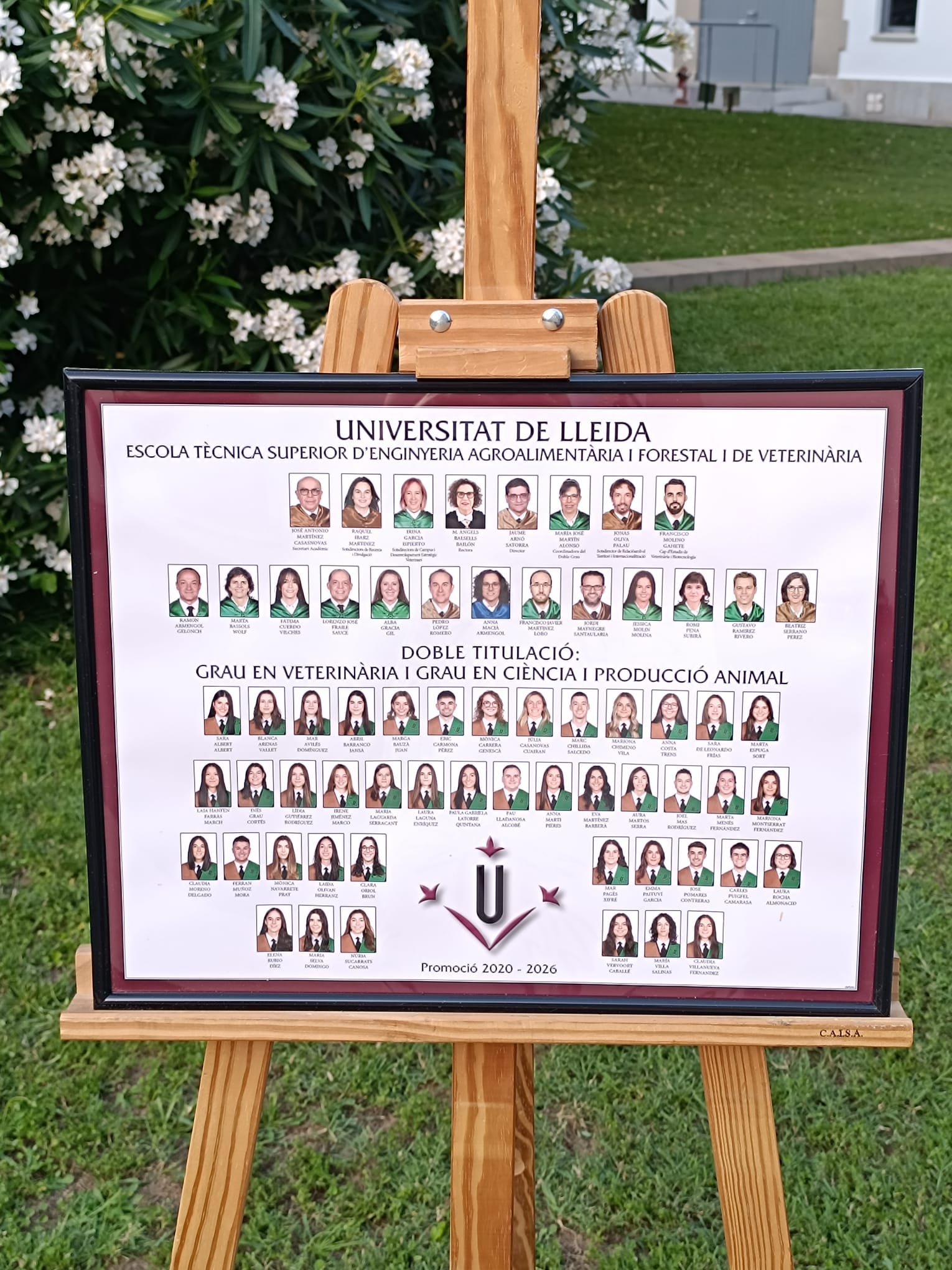 WhatsApp Image 2026-06-01 at 22.47.17_2