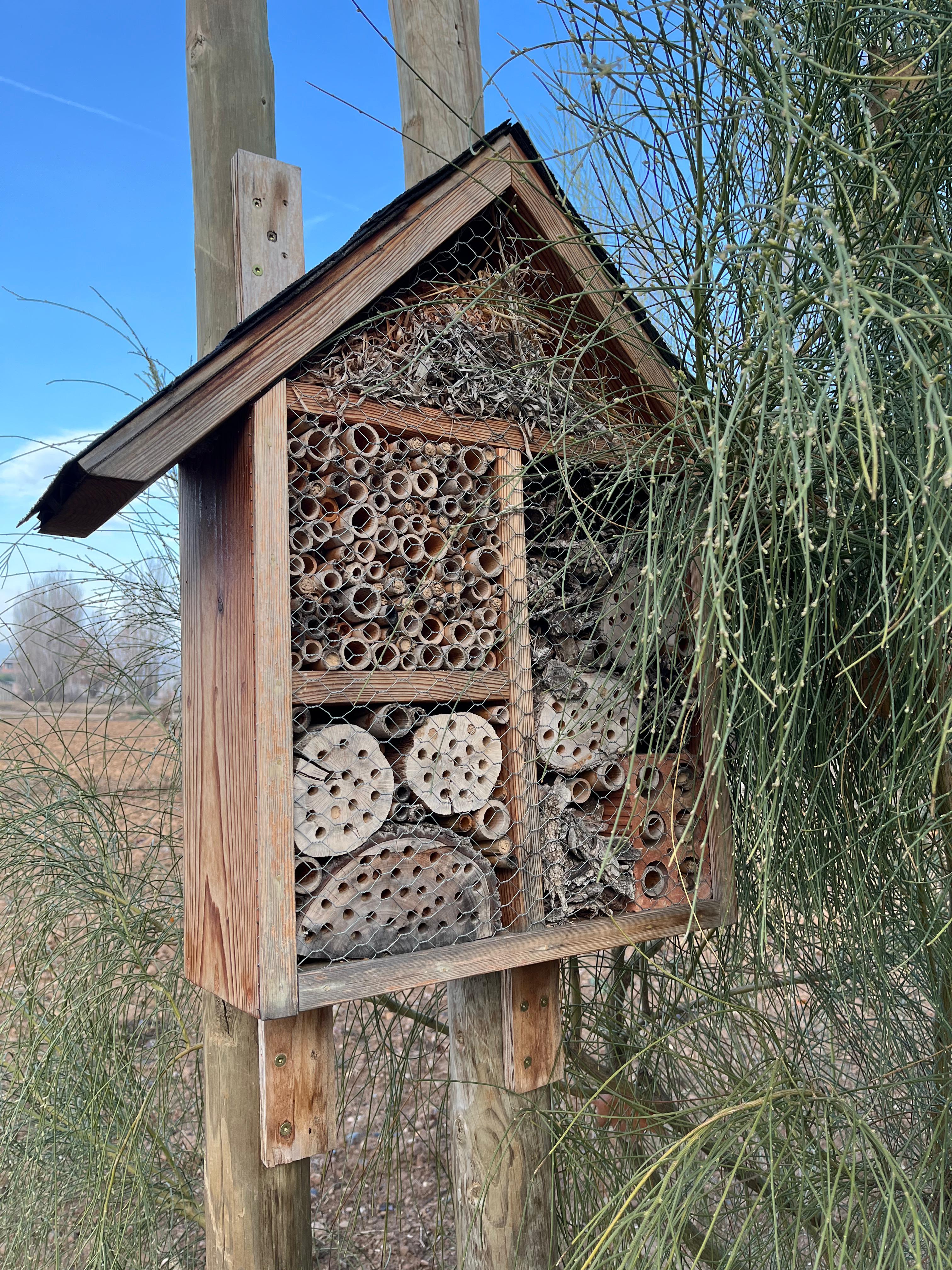 Hotel d'insectes