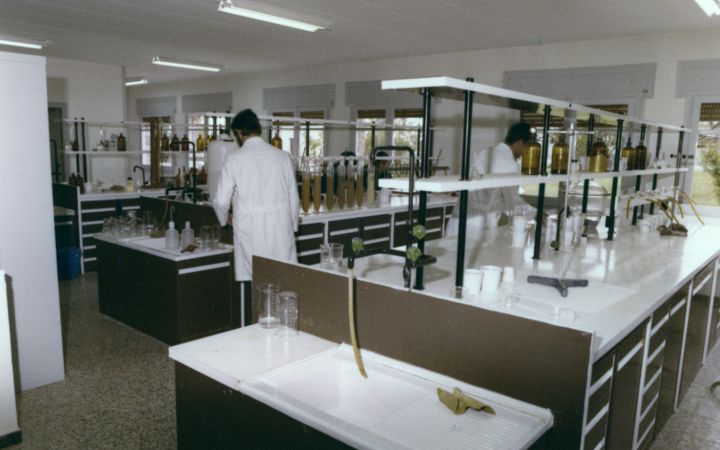 1980 Laboratori Edafologia