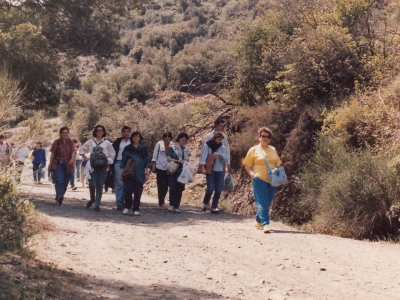1987 Escusió de Botànica Experimental a Poblet (2)