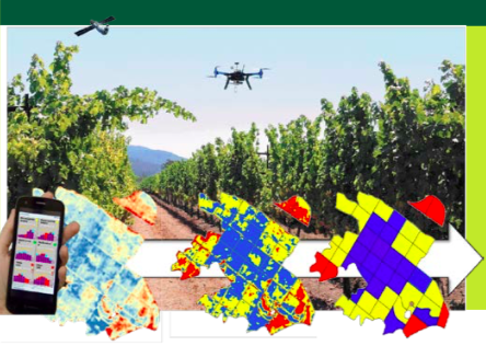 II Jornada científica i tècnica de teledetecció i agricultura de precisió