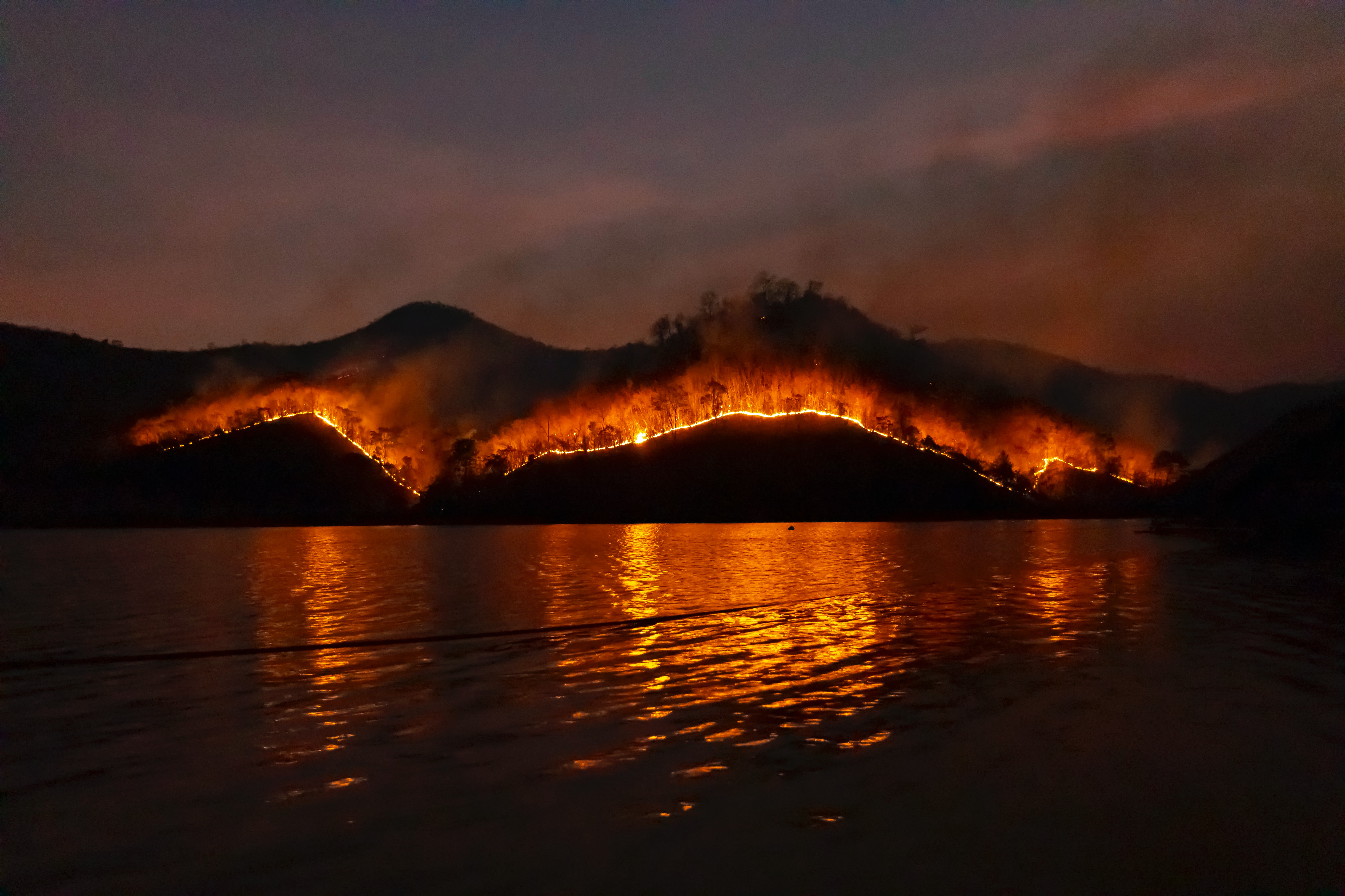 Wildfire