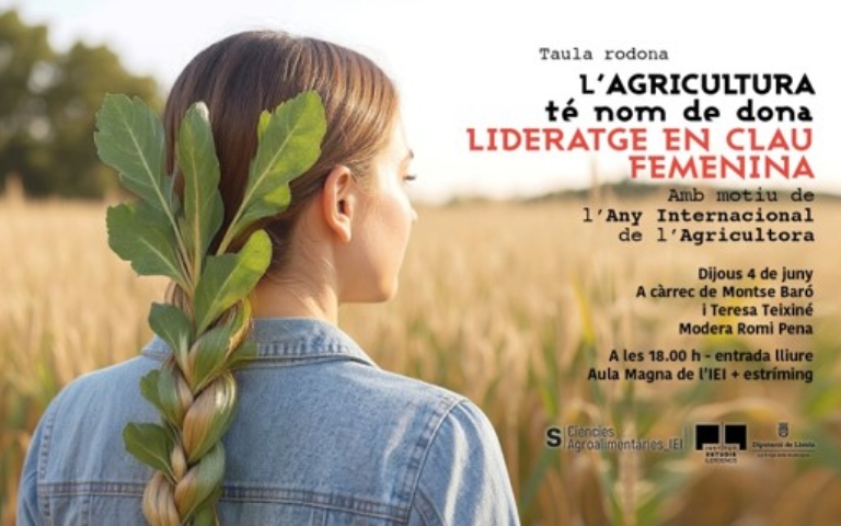 Imagen1
