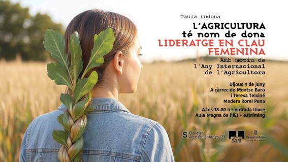 Imagen1