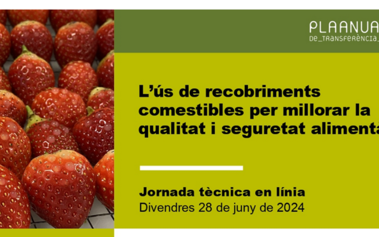 Jornada recobriments