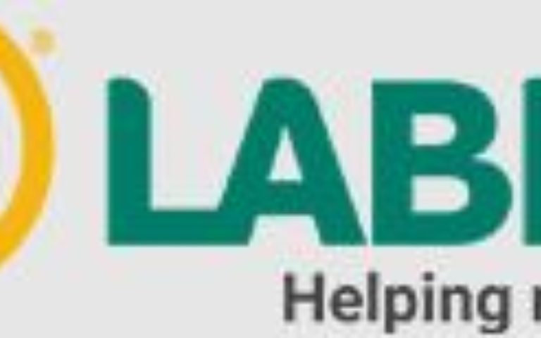 LOGO LABIN