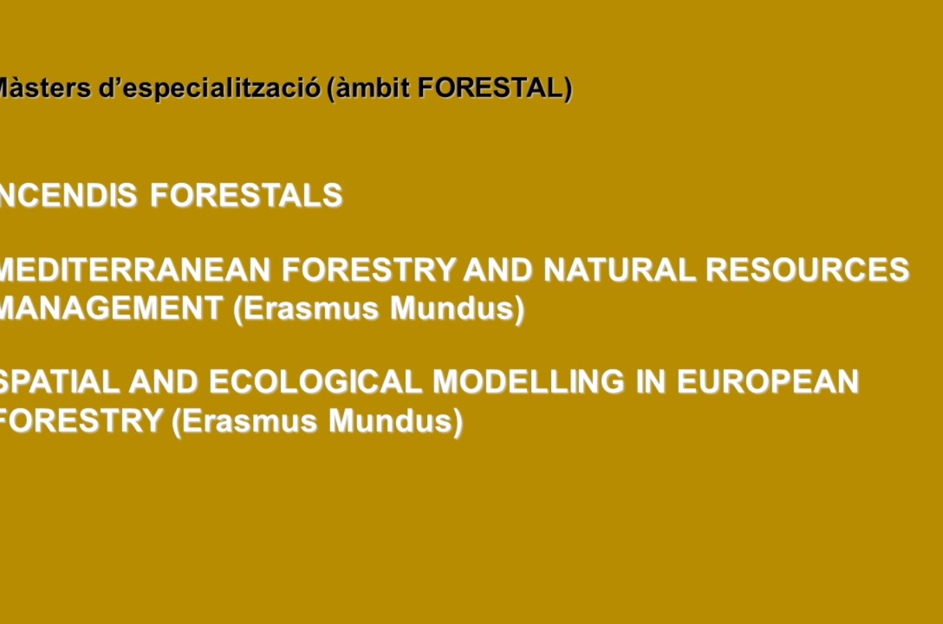 Másteres forestales