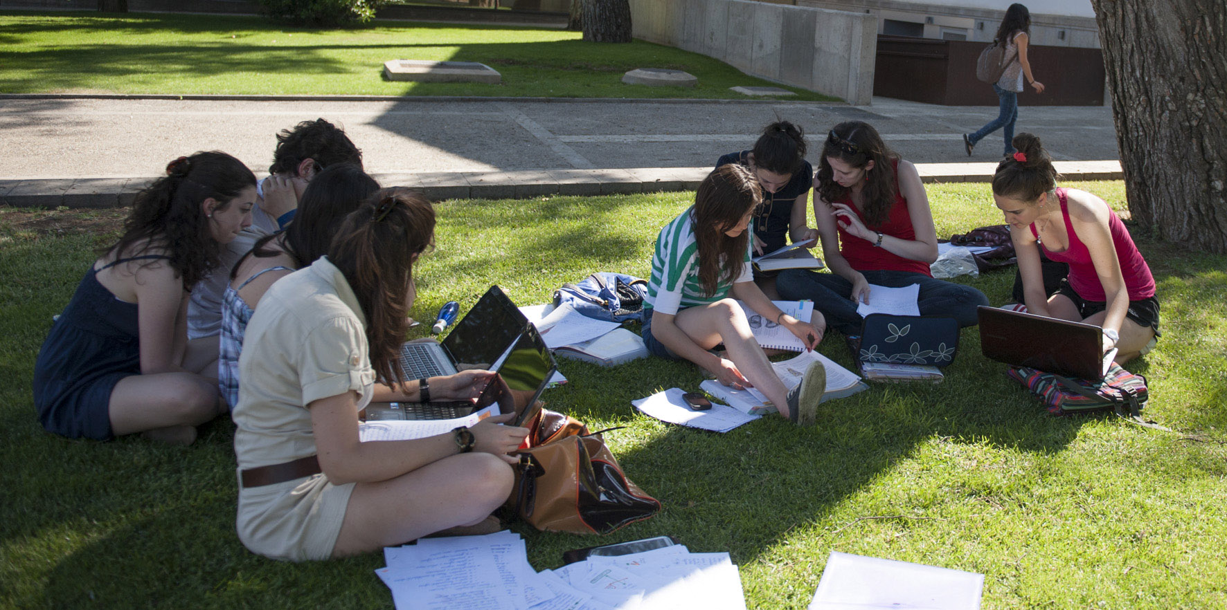 Activitat al campus