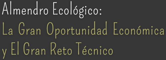 Almendro eco