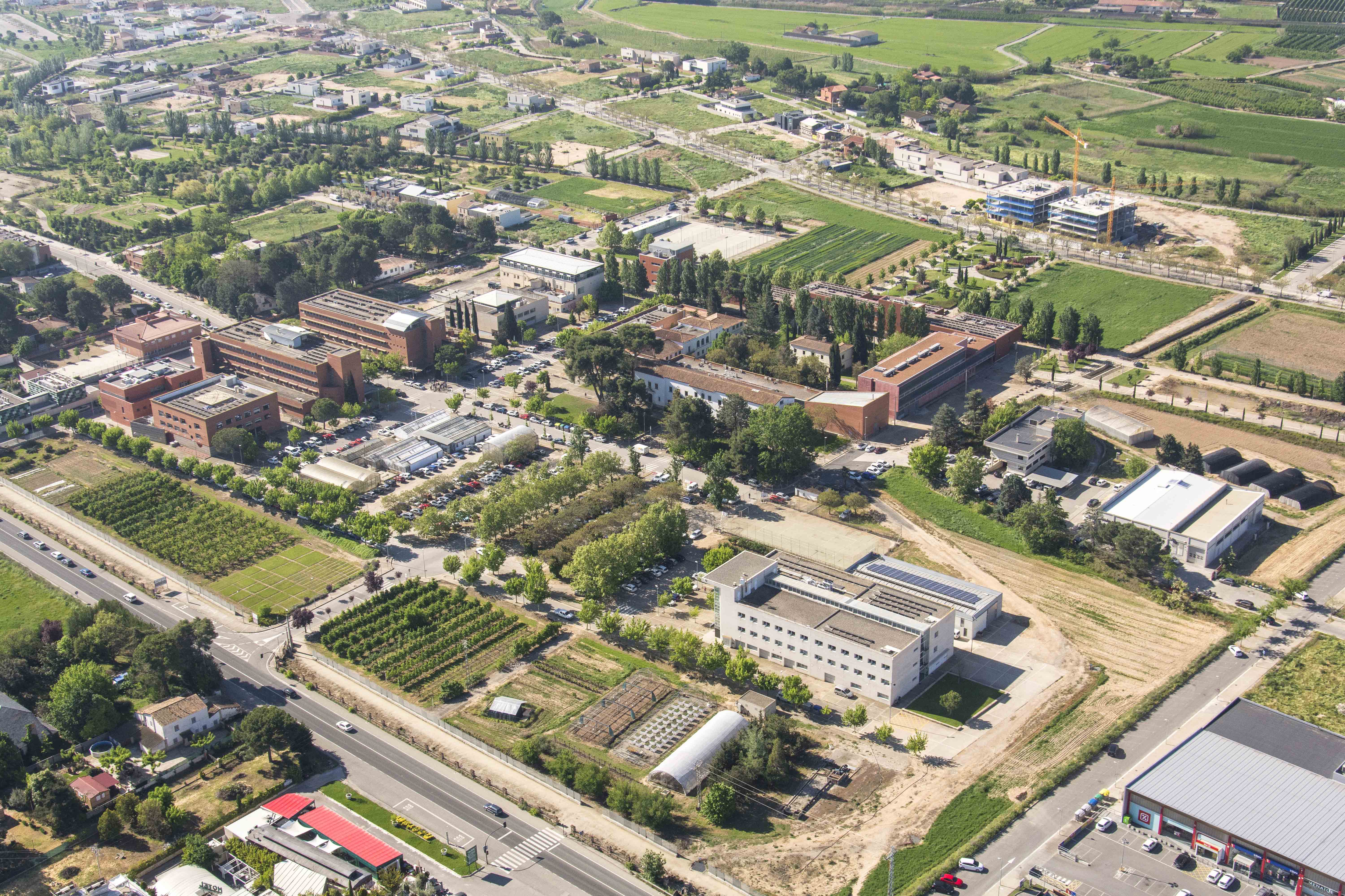 Campus ETSEA