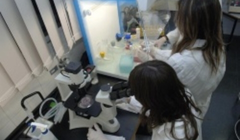 Gbiotec.JPG_1379228202