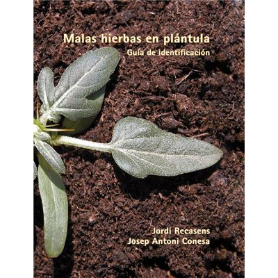 Malas-Hierbas-en-Plantula