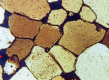 Micromorph
