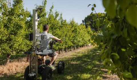 Projectes Agrotecnio IRTA