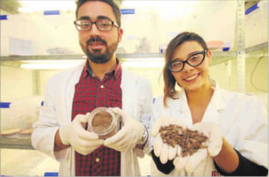 Farina grills investigadors