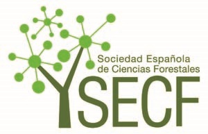 SECF_logo_color