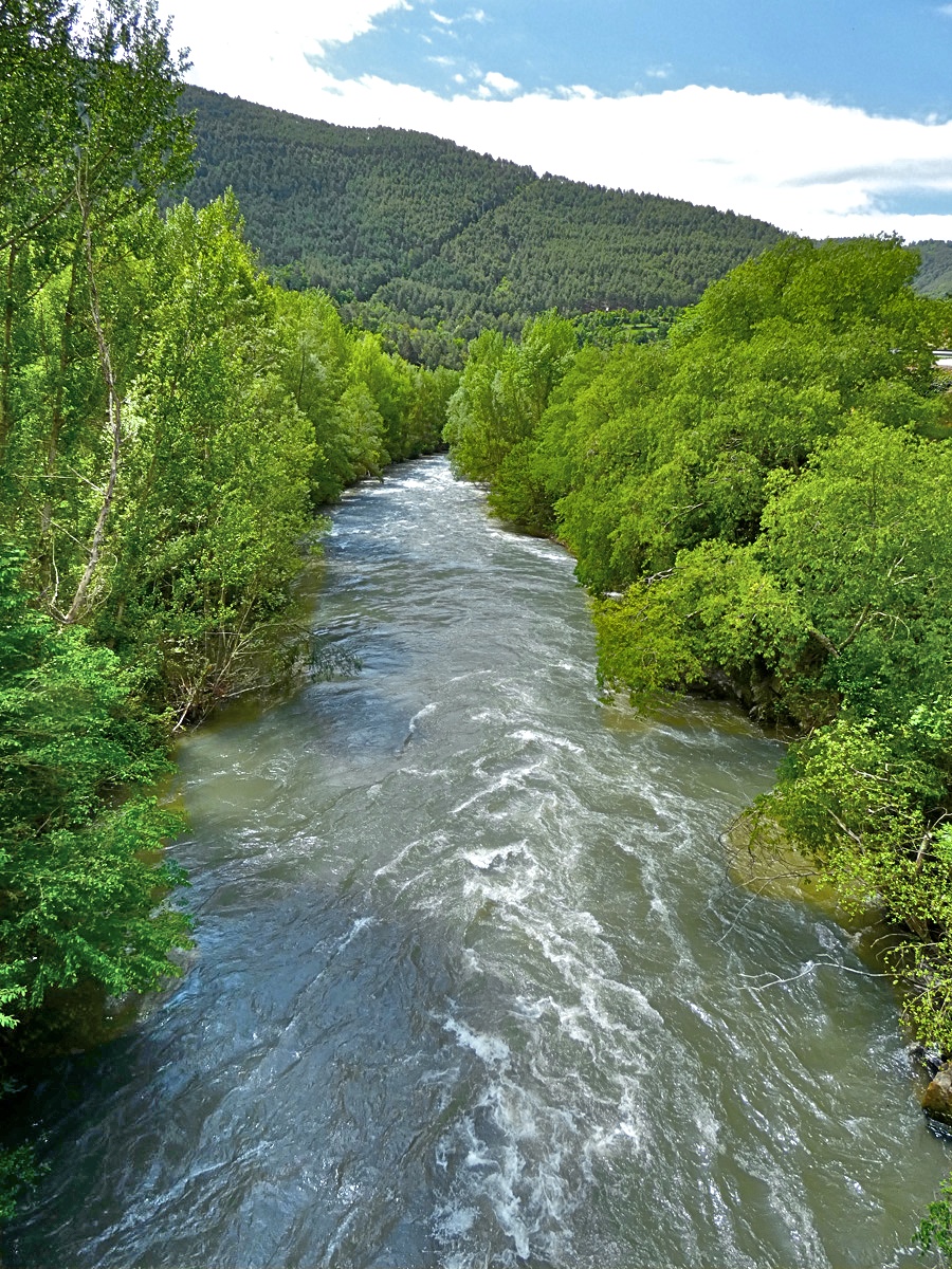 riu-Segre