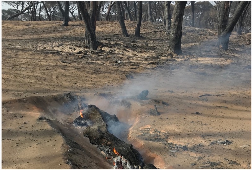 Incendi