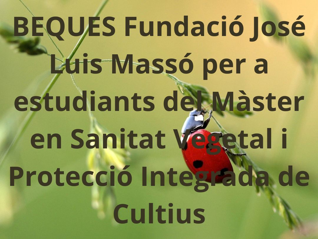 BEQUES Fundació José Luis Massó per a estudiants del Màster en Sanitat Vegetal i Protecció Integrada de Cultius