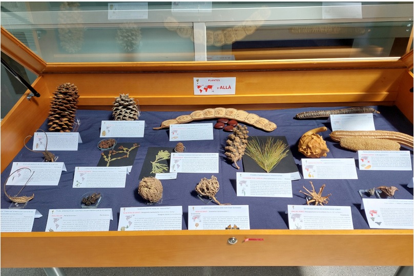Expo botànica
