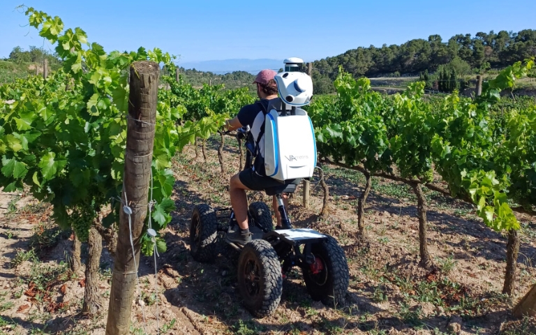 Lidar-males-herbes