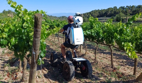 Lidar-males-herbes