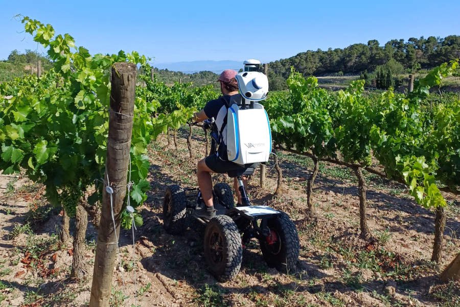 Lidar-males-herbes