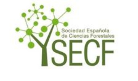 Logo SECF