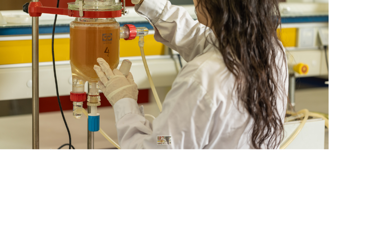 Proves de laboratori