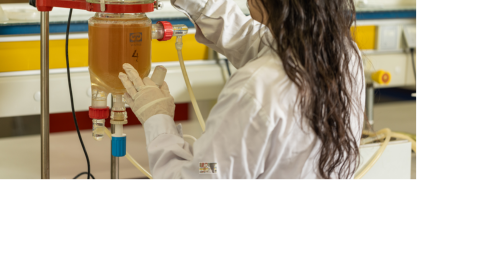 Proves de laboratori