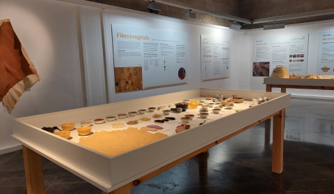 expo-vegetals-IEI