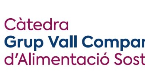 Logo2_Vall_Companys.JPG_1898169058