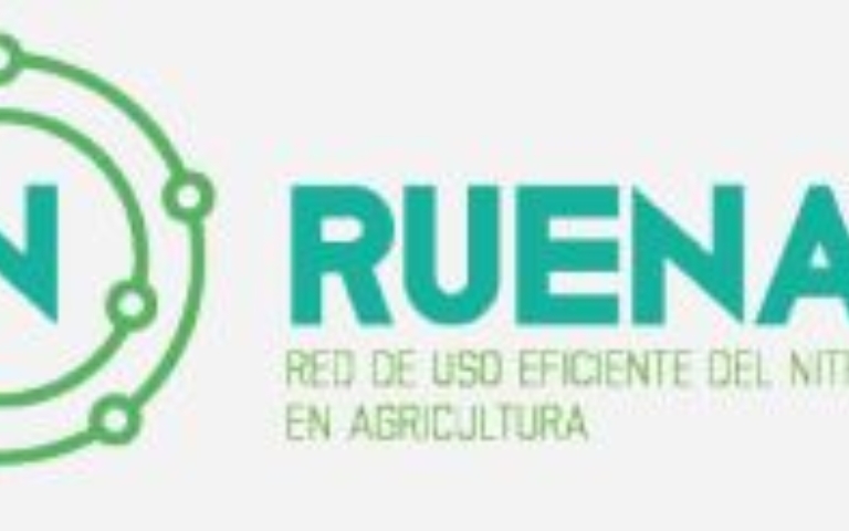 RUENA