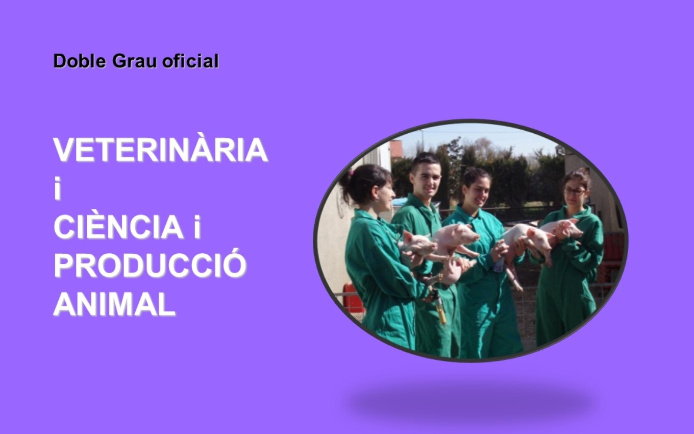 Slide6.JPG_663554169