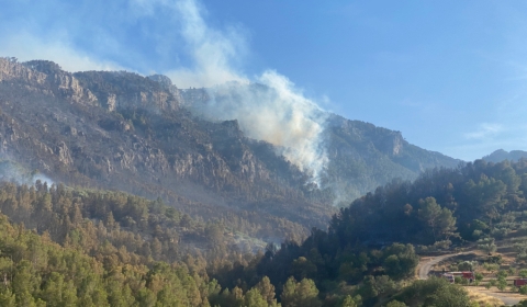 incendi-resco